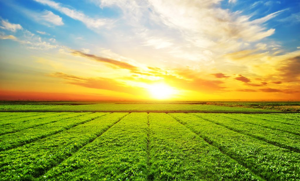 BNDES, FIDA e ME lançam R$ 1 bi para segurança alimentar e resiliência climática no semiárido